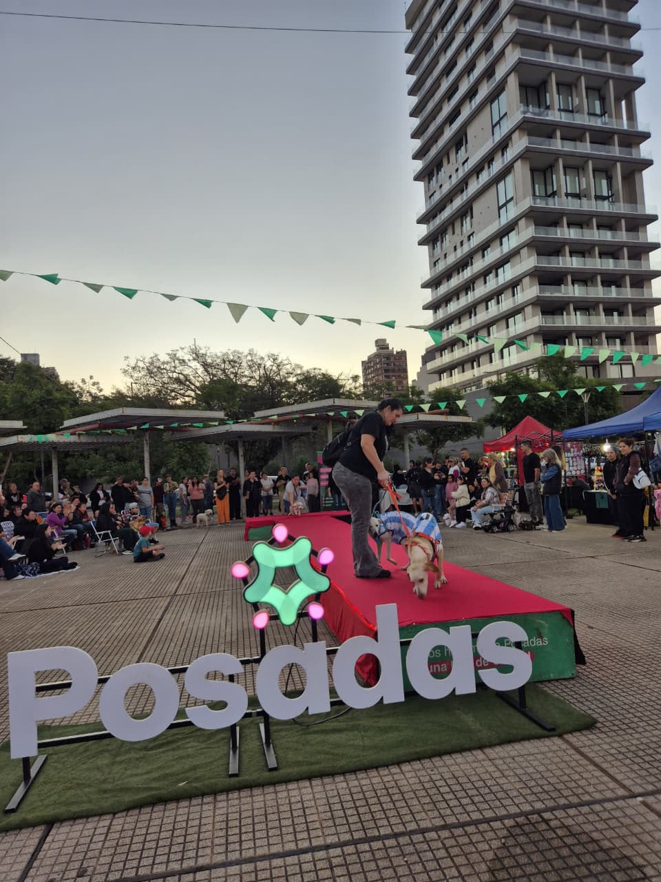 <p>Posadas prepara una nueva edición de “Huellas con Flow” con desfile de mascotas, adopciones y vacunación</p>